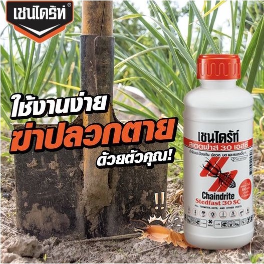 chaindrite-stedfast-30sc-น้ำยากำจัดปลวก-5-ลิตร-ชุด-2-ชิ้น-เชนไดร้ท์สเตดฟาส-30sc-น้ำยาฆ่าปลวก-สูตรน้ำ-ราดพื้น-พ่น