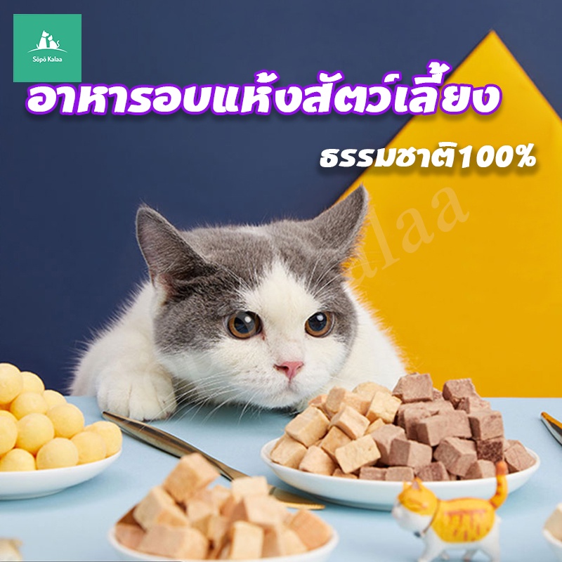 ไก่ฟรีซดราย-แมว-อกไก่อบแห้งแมว-อกไก่ฟรีซดราย-ขนมฟรีซดรายแมว-ขนมแมวฟรีซดราย-อาหารแมว-อาหารน้องแมว