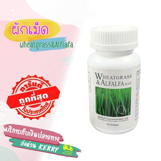 🚚บริการเก็บปลายทาง 🌱ผิวสวย หน้าใส สุขภาพดี ผักเม็ดWheatgrass and Alfalfa Plus🔥ของแท้100% Amstrong 120เม็ด