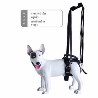 PetWell Harness อุปกรณ์ช่วยพยุงเพื่อกายภาพบำบัดสำหรับสุนัขไซส์ L(เส้นรอบอก 58-68 ซม.)