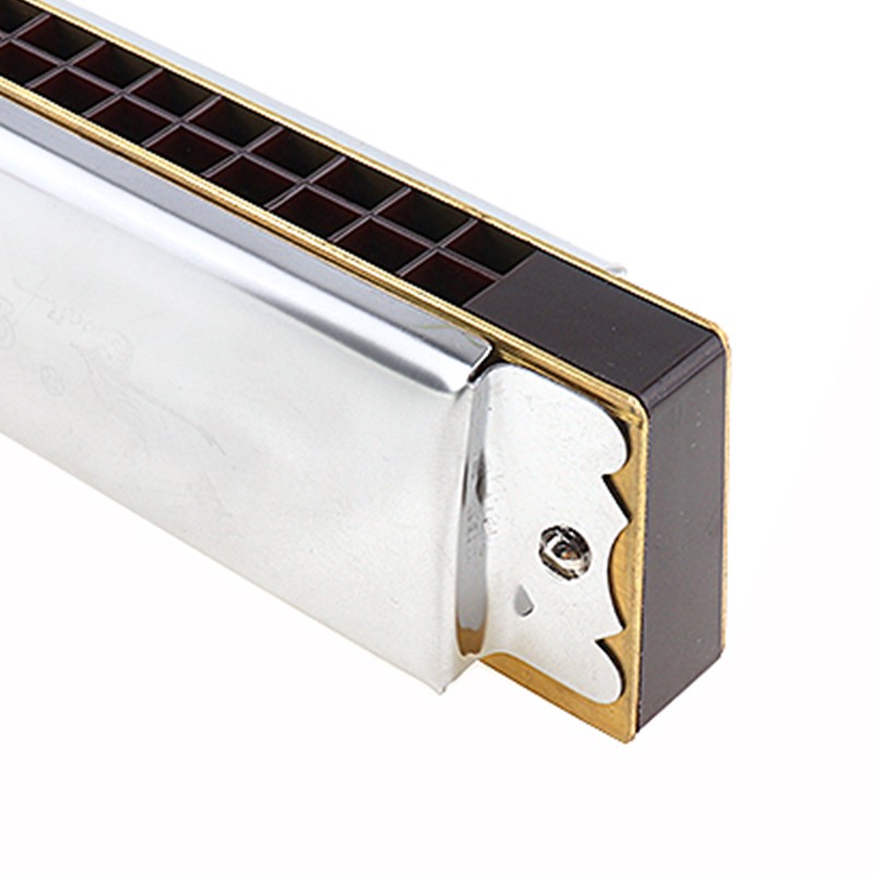 เครื่องดนตรี-harmonica-แบบ-28-holes-diatonic-harp