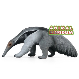 Animal Kingdom - โมเดลสัตว์ ตัวกินมด ขนาด 13.00 CM (จากหาดใหญ่)