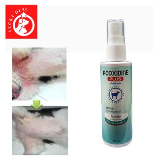 ภาพหน้าปกสินค้าAcoxidine Plus Spray อโคซิดีน พลัส สเปรย์ สุนัข แมว ลดคัน ลดกลิ่นตัว เชื้อราแมว เชื้อราสุนัข ยีสต์ ที่เกี่ยวข้อง