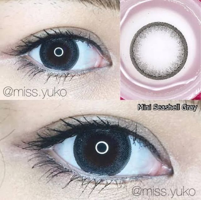 kitty-kawaii-big-seashell-seeshell-สายตา-00-ถึง-1000-brown-gray-contactlens-บิ๊กอาย-คอนแทคเลนส์