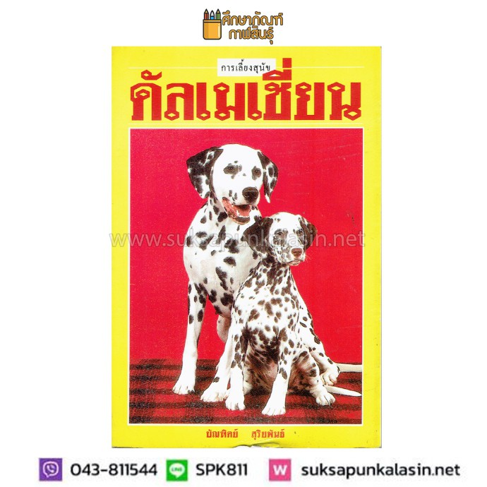 การเลี้ยงสุนัข-ดัลเมเชี่ยน-by-บัณฑิตย์-สุริยพันธ์