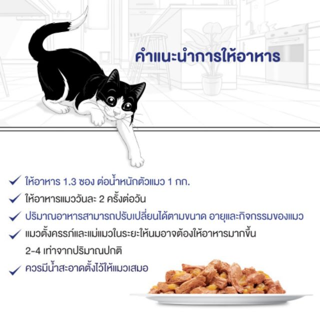 purina-felix-อาหารแมวจากออสเตรเลีย-70-กรัม-12-ซอง