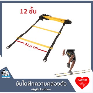 [W71Q68 ลด 20%] บันได ฝึกความคล่องตัว ซ้อมวิ่ง ซ้อมบอล ฟุตบอล ฟิตเนส Agile ladder