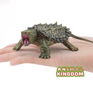 Animal Kingdom - โมเดลสัตว์ เต่าอัลลิเกเตอร์ เขียว ขนาด 15.00 CM (จากสงขลา)