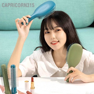 Capricorn315 🟢🔵แปรงหวีผม  หวีนวดศรีษะ สําหรับร้านทําผม 💡พร้อมส่ง💡