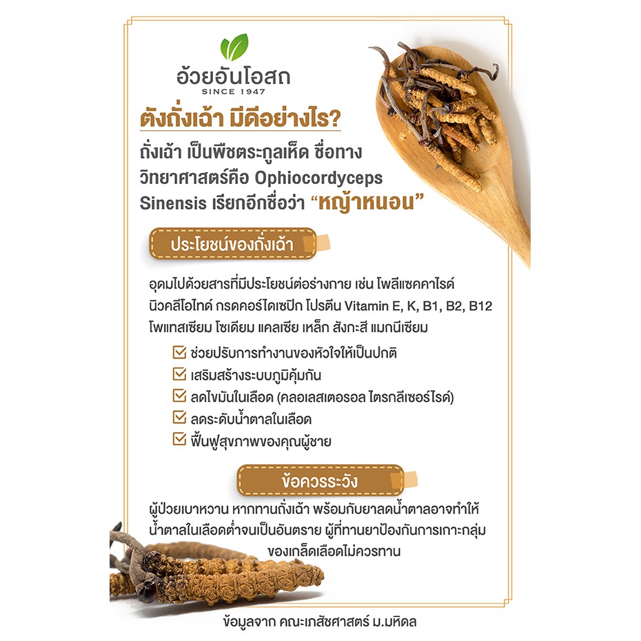 ภาพสินค้าHerbal one Cordyceps-Plus 30 เม็ด อ้วยอัน ถังเช่า ตังถั่งเฉ้า-พลัส เฮอร์บัล วัน จากร้าน healthmee บน Shopee ภาพที่ 2