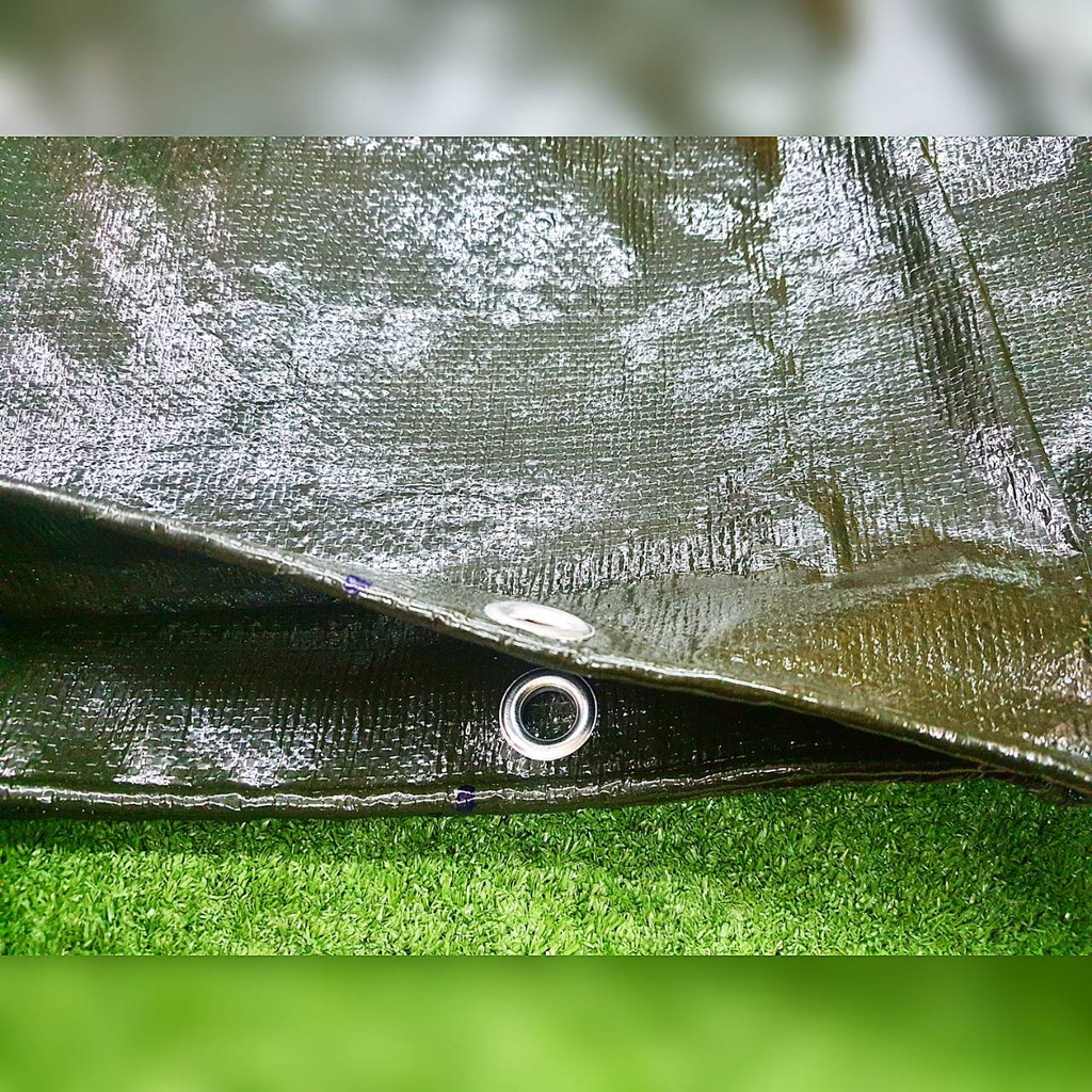 treetools-ผ้าใบ-pe-ขนาด-5x6-เมตร-สีเขียว-ตอกตราไก่-ผ้าใบกันแดด-กันแดด-กันฝน-กันน้ำได้
