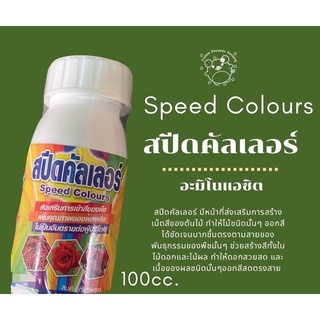 สปีดคัลเลอร์(Speed Colours)100cc.