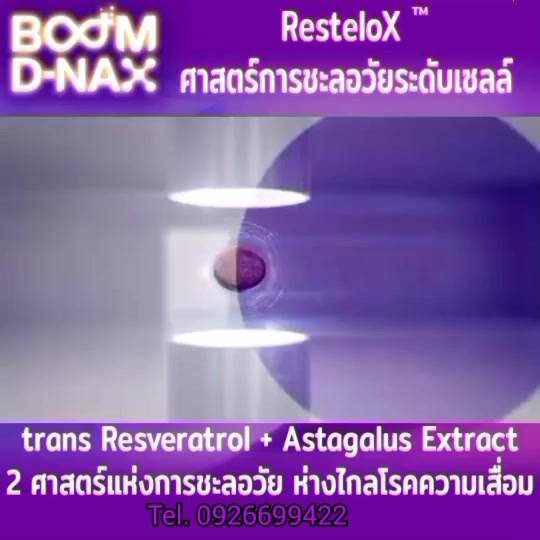 boom-d-nax-anti-aging-บูม-ดี-แนกซ์-อาหารเสริม-10-วิตามิน-เม็ดฟู่-ชะลอวัย-ดูแลสุขภาพ-ระดับเซลล์-dna-แข็งแรง-ของแท้-1กล่อง