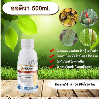 ออติวา 500ml. ไดฟีโนโคนาโซล+อะซอกซีสโตรบิน สารป้องกันกำจัดโรคพืช เชื้อรา โรคกาบใบแห้ง กาบใบเน่า allaboutplants