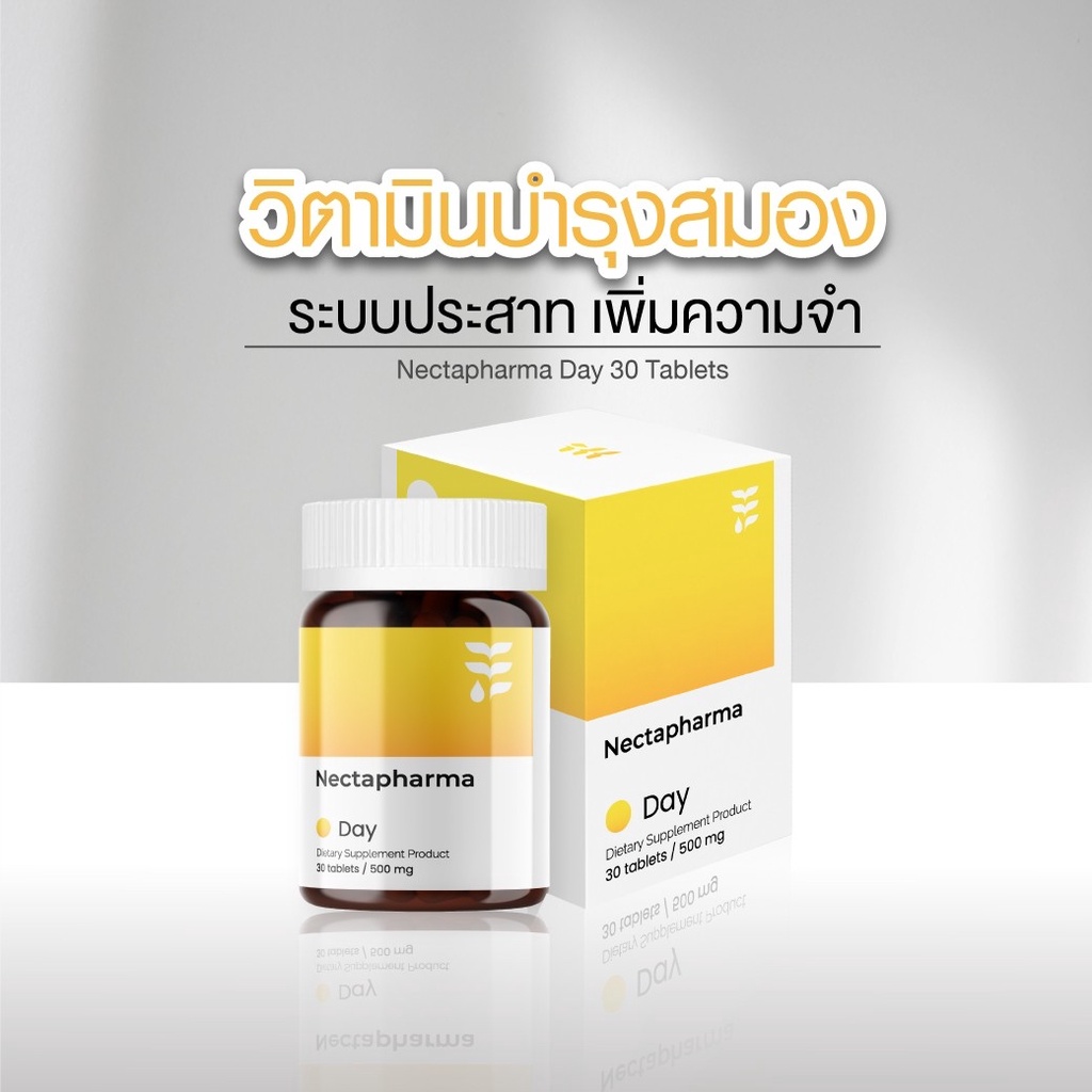 อาหารเสริมบำรุงสมอง-nectapharma-day-บำรุงสมอง-ระบบประสาท-เพิ่มสมาธิ-เพิ่มความจำ-พลังความคิด-วิตามินบีรวม-vitamin-b