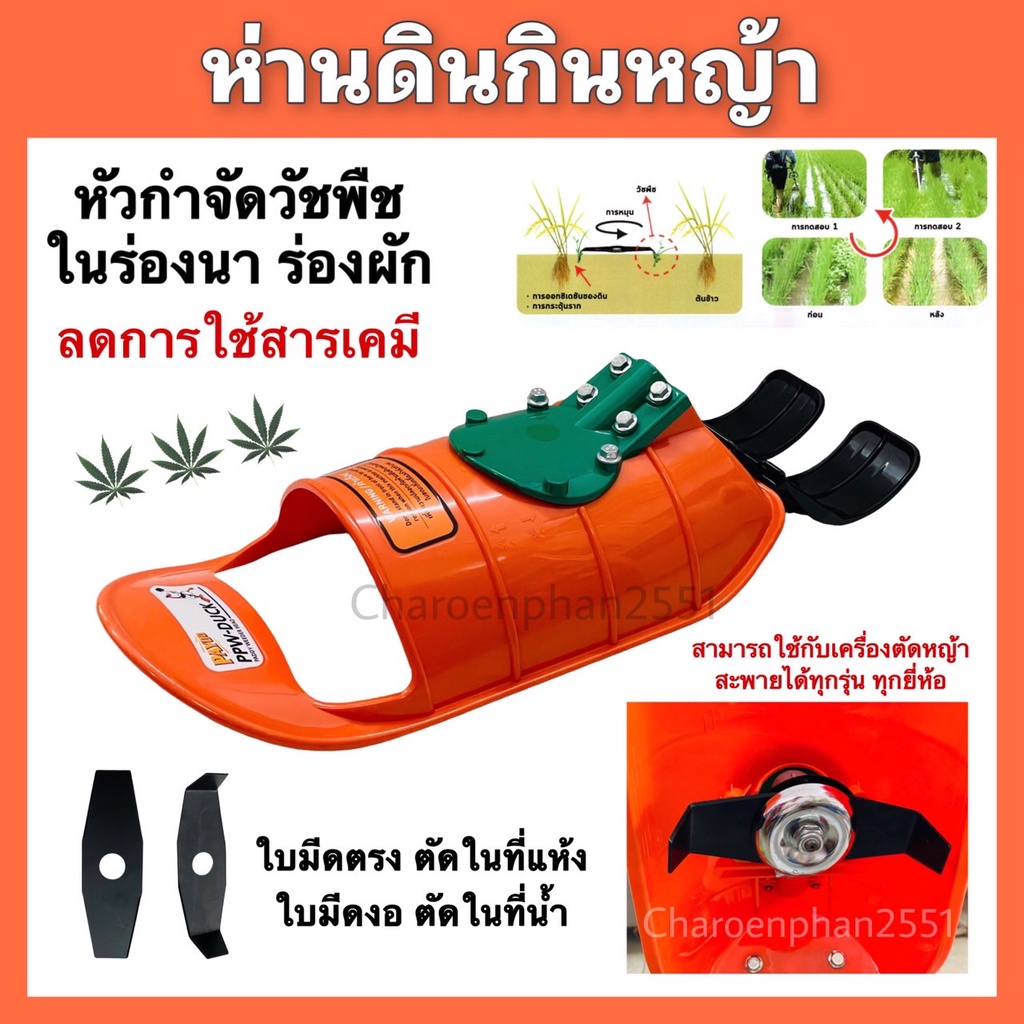 ห่านดินกินหญ้า-หัวกำจัดวัชพืชในร่องนา-ห่านดิน-ห่านดิน-กินหญ้า