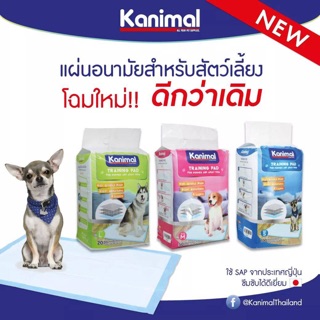ภาพหน้าปกสินค้าแผ่นรองฉี่ Kanimal แผ่นรองซับสัตว์เลี้ยง แผ่นรองฉี่สุนัข แผ่นซับฉี่แมวสุนัข kanimal pad ที่เกี่ยวข้อง
