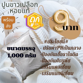 ภาพหน้าปกสินค้าปูนขาวเปลือกหอยแท้ 9 บาท ที่เกี่ยวข้อง