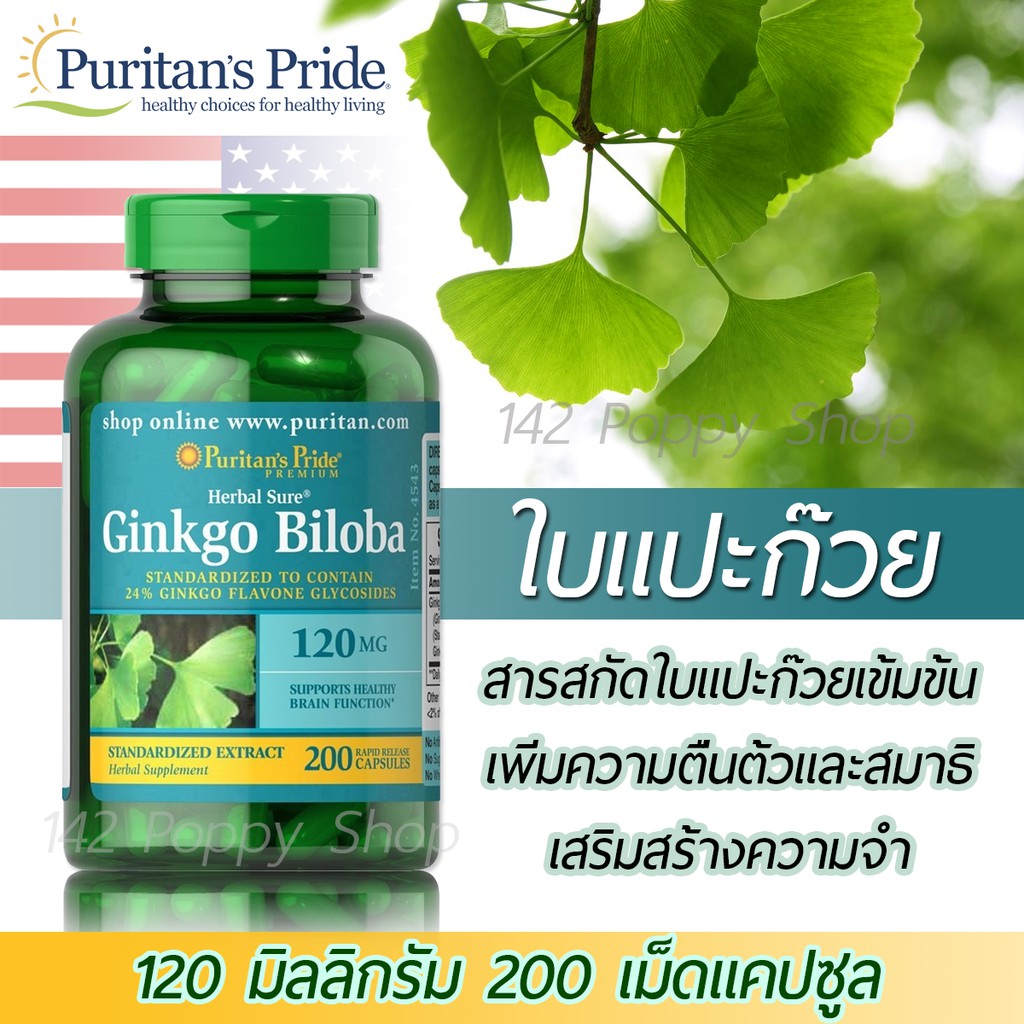 ภาพหน้าปกสินค้าใบแปะก๊วย Puritan's Pride Ginkgo Biloba Standardized Extract 120 mg/ 200 Capsules จากร้าน puppy142 บน Shopee