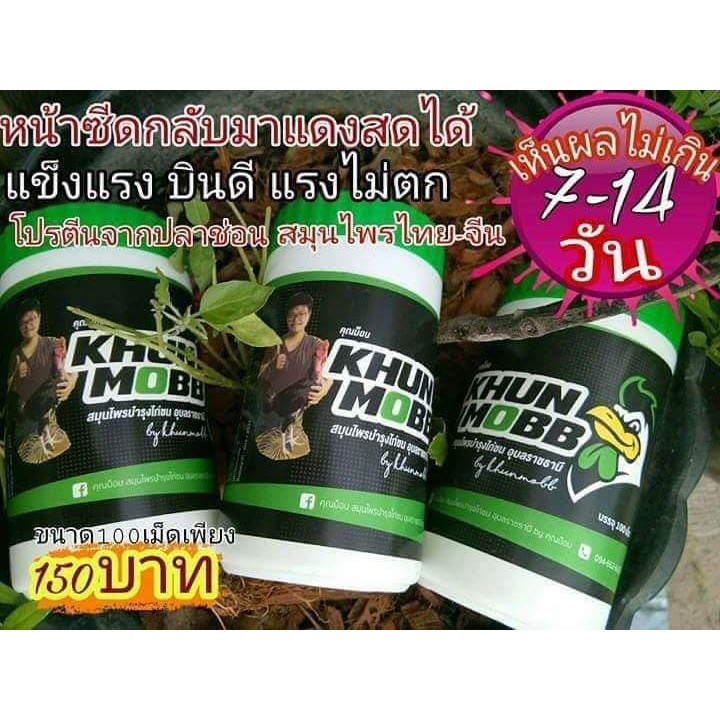 khunmobb-สมุนไพรบำรุงไก่ชน