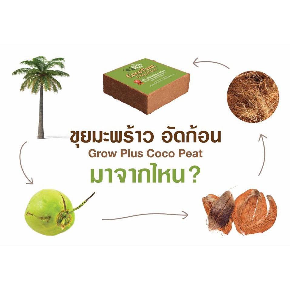 coco-peat-อัดก้อน-ขนาด-800-กรัม-ขยายได้-1-ถุงตามภาพ-ใช้แทนดิน-ผสมปุ๋ยแล้วใช้ได้เลย-พร้อมใช้-ล้างสารแทนินแล้ว-พร้อมใช้