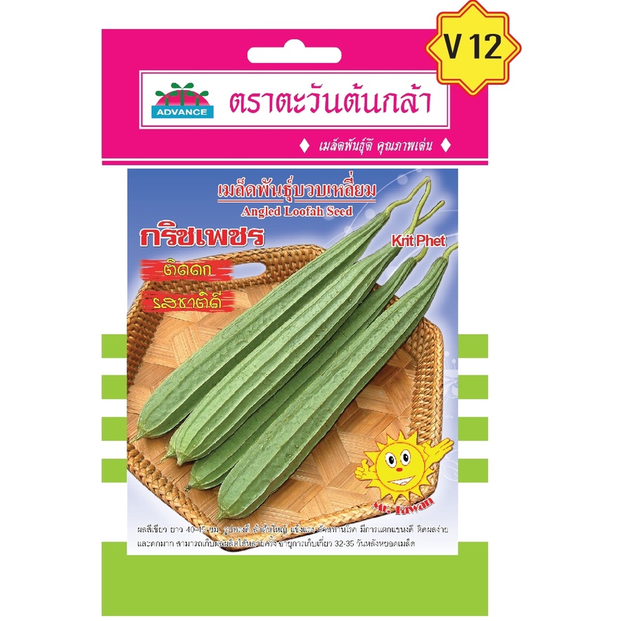 เมล็ดบวบ-กริชเพรช-ตราตะวันต้นกล้า