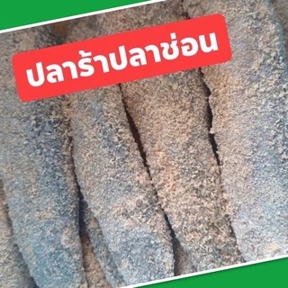 ปลาร้าปลาช่อนสิงห์บุรี บรรจุ 1 กก. (6-9 ตัว) สำหรับทอด หลน หอมข้าวคั่ว อร่อย ไม่เค็ม ใหม่ สะอาด มีหน้าร้าน พร้อมส่ง photo