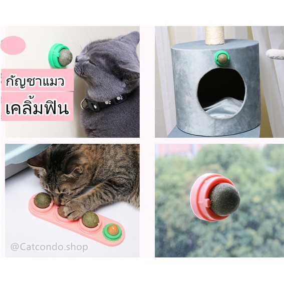 ภาพหน้าปกสินค้า️Catnip ออร์แกนิค ของเล่นแมว บอลcatnip แบบเลีย ️ จากร้าน ratimapeem บน Shopee