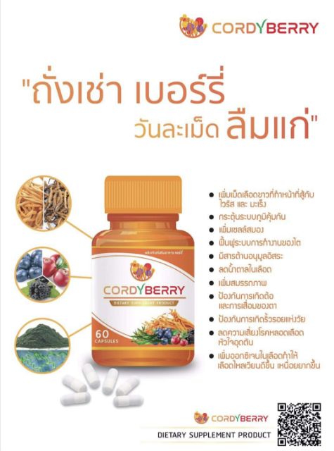 ถั่งเช่า-cordy-berry-1-กระปุก-แถมฟรี-2-แผง