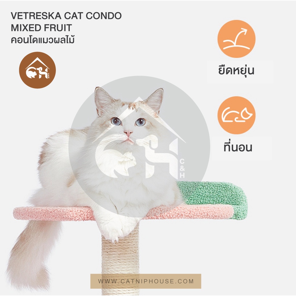 ของแท้-ถูกสุด-พร้อมส่ง-vetreska-cat-condo-mixed-fruit-คอนโดแมว-ผลไม้-สำหรับสัตว์-เลี้ยง