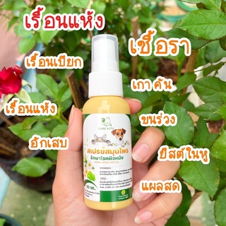 สินค้า สเปรย์สมุนไพรพ่นเชื้อราแผลที่เกิดจากโรคผิวหนังทุกชนิดขนาด50ml