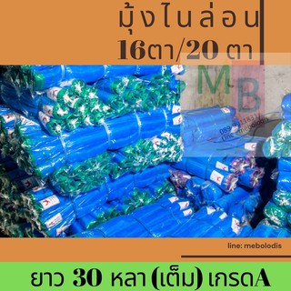 ภาพหน้าปกสินค้ามุ้งฟ้า มุ้งเขียว มุ้งไนล่อน 20ตา 30หลา เกรดเอ ตราเรือใบแท้ ตากข้าว มุ้งกันยุง มุ้งประมง ผ้าแยง กันแมลง มุ้งคลุมโรงเรือน ซึ่งคุณอาจชอบสินค้านี้