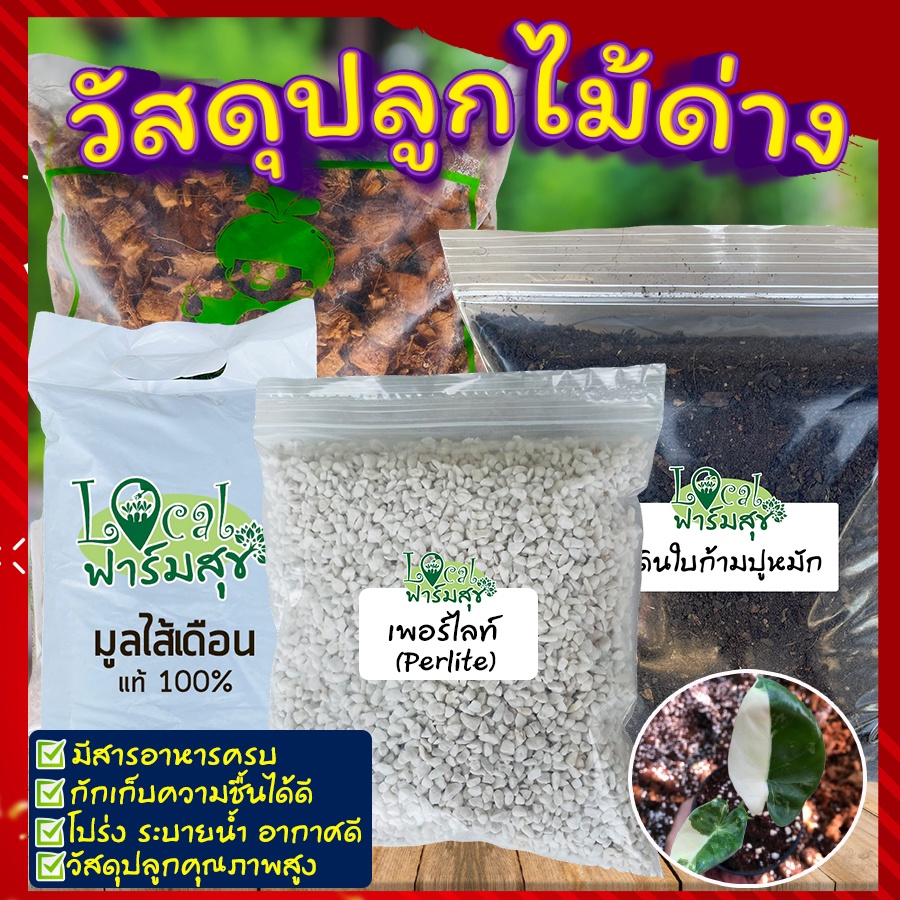 วัสดุปลูกไม้ด่าง-บอนด่าง-บอนสี-ดินปลูกไม้ด่าง-โตไว-ให้สีด่างสวย-โปร่ง-กักเก็บความชื้น-ระบายอากาศได้ดี-มีสารอาหารครบ