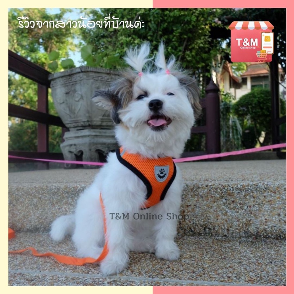 ภาพสินค้าพร้อมส่งในไทย เสื้อจูงสุนัข เสื้อจูงแมว สายจูง สายรัดอก เสื้อจูงสัตว์เลี้ยง จากร้าน tm.online บน Shopee ภาพที่ 8