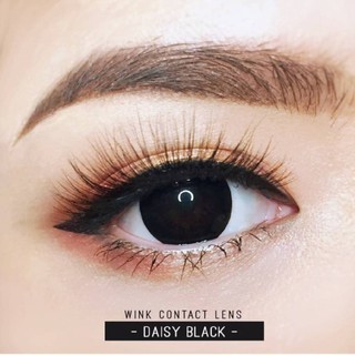 (1)(2) Daisy Black / Daizy Black / Kiwi Black บิ๊กอาย สีดำ ขอบดำ ดำ เน้นขอบ Pretty Doll Bigeyes Contact Lens คอนแทคเลนส์