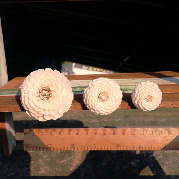 ดอกบานชื่น Zinnia Balsa Wood Sola Diffuser Flowers ขนาด 4 ซม | Shopee ...