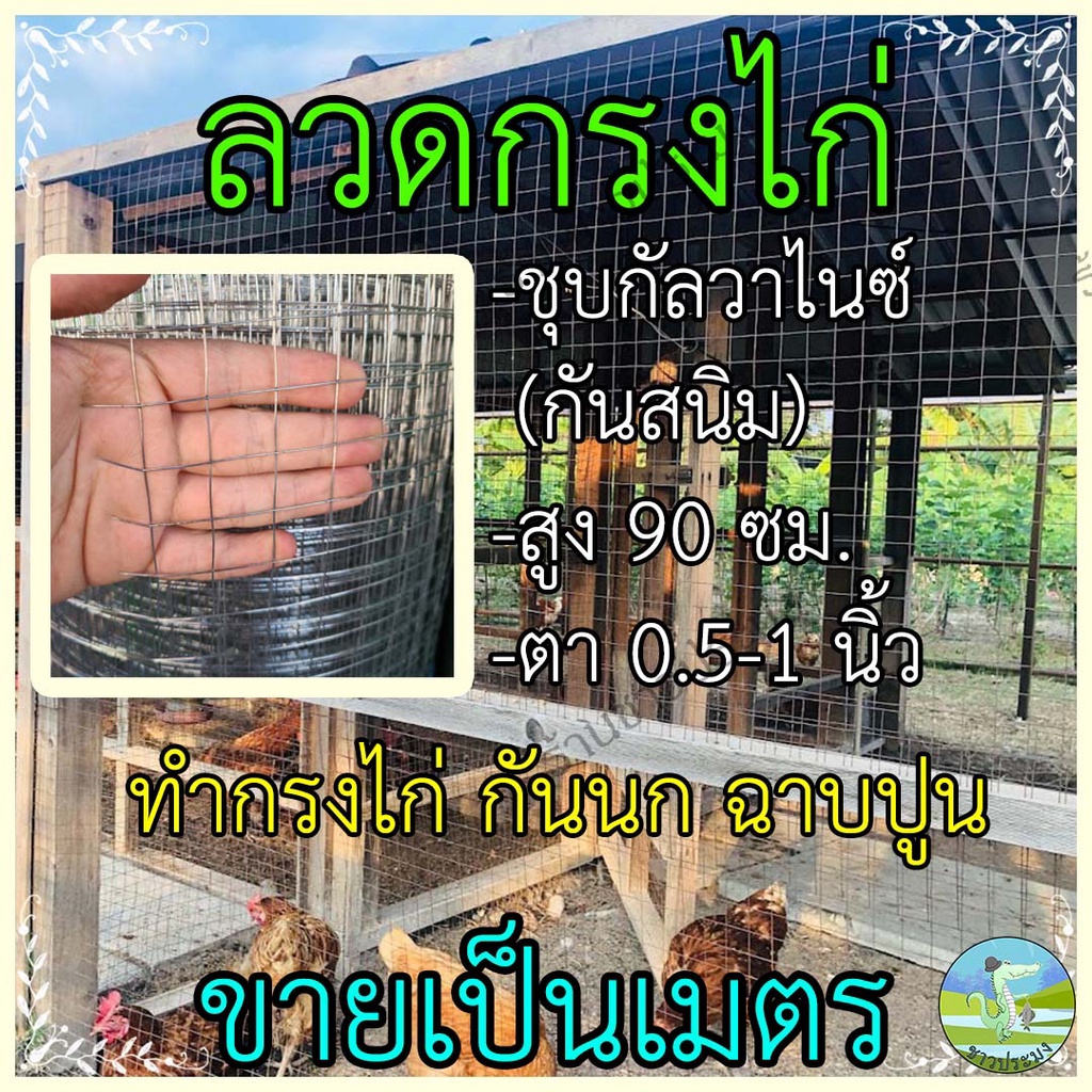 ตาข่ายลวด-ขายเป็นเมตร-ขนาดตา-1-2-3-4-1-นิ้ว-สูง-90-เซน-กรงไก่-ลวดเหล็ก-รั้วตาข่าย-ตะแกรงกรงไก่-ตะแกรงลวด-กันนกพิราบ-งู