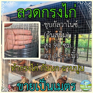 ตาข่ายลวด ขายเป็นเมตร ขนาดตา 1/2,3/4,1 นิ้ว สูง 90 เซน กรงไก่ ลวดเหล็ก รั้วตาข่าย ตะแกรงกรงไก่ ตะแกรงลวด กันนกพิราบ งู