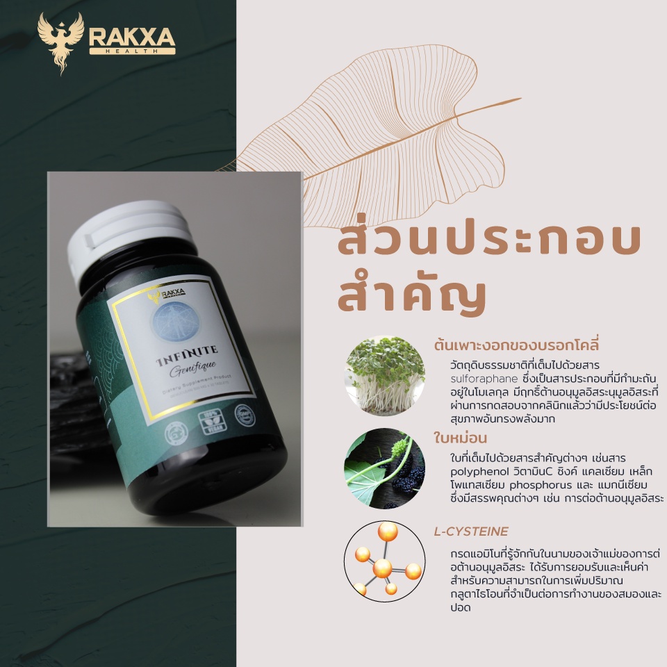 ภาพสินค้าInfinite Genifique อินฟินิท เจนิฟิค ล้างพิษ ป้องกันปอด 1กระปุก 30 เม็ด จากร้าน rakxahealth บน Shopee ภาพที่ 2