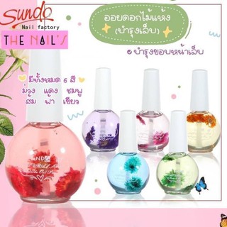 ภาพหน้าปกสินค้า🌵💜ออยดอกไม้แห้งบำรุงเล็บ💜🌵ปริมาณ 15ml ออยดอกไม้ ที่เกี่ยวข้อง