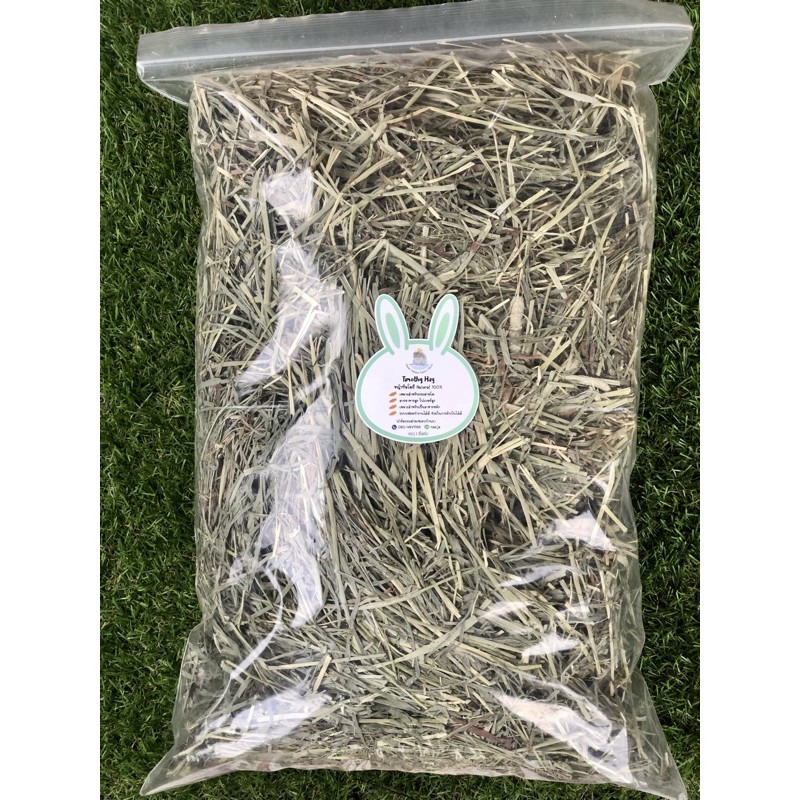 หญ้าทิโมที-timothy-hay-1kg