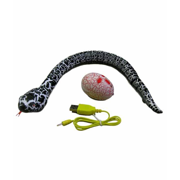 View of INNOVATION SNAKE หุ่นยนต์งู บังคับด้วยรีโมท NO.9909 A-D | Shopee Thailand