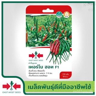 เมล็ดอวบอ้วน100%East-West Seed เมล็ดพันธุ์พริก (Hot pepper seeds)  เทอร์โบฮอท F1 เมล็ดพันธุ์ผัก เมล็ดพันธุ์ ผักสวนครัว