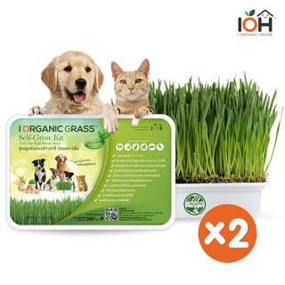 ภาพหน้าปกสินค้าIOH i Organic Grass ชุดปลูกต้นอ่อนข้าวสาลี สำหรับสัตว์เลี้ยง (Premium Product) ขนาด 300 กรัม X2 ที่เกี่ยวข้อง