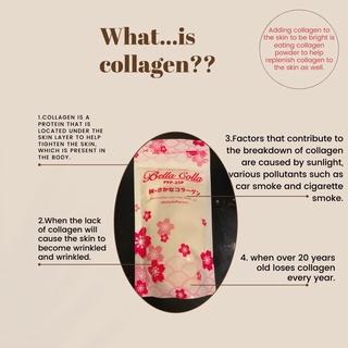 ภาพหน้าปกสินค้าFish Collagen Powder Bella colla PFP-25P(คอลลาเจน เบลลา พีเอฟพี-25พี) ซึ่งคุณอาจชอบราคาและรีวิวของสินค้านี้