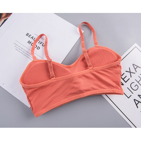 ภาพสินค้า068 มาใหม่  ชุดชั้นในเซ็กซี่ มีหลายสีให้เลือก ใหม่การออกแบบผ้าด้าย sport bra สายรัดที่สามารถปรับได้ จากร้าน cok.popular บน Shopee ภาพที่ 2