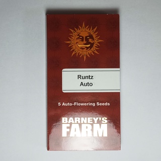 Cannabis seeds Barneys farm Runtz Auto 5 seeds