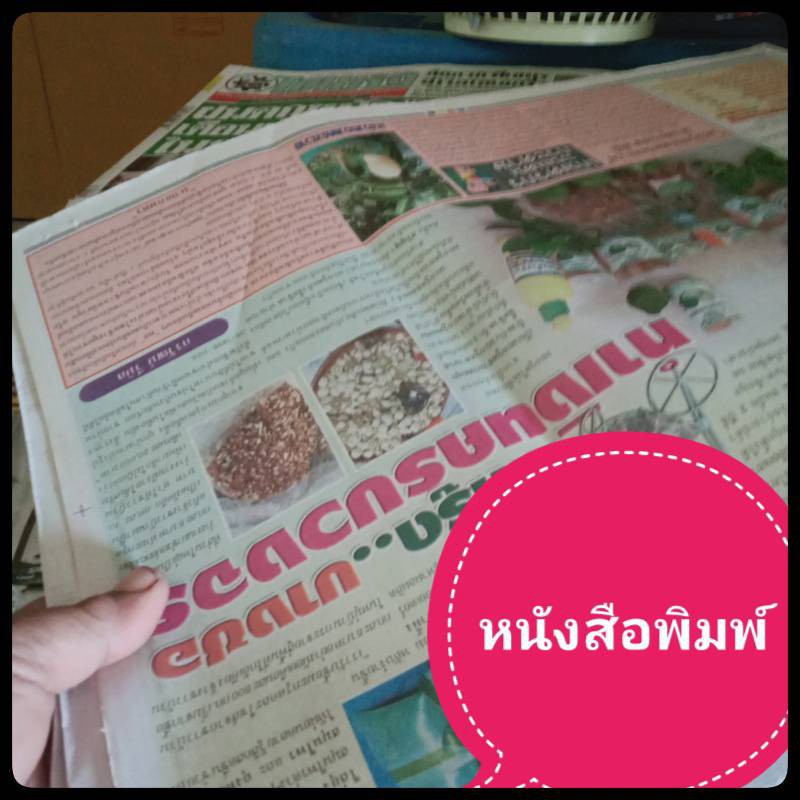 หนังสือพิมพ์-10กิโลกรัม-5กิโลกรัม