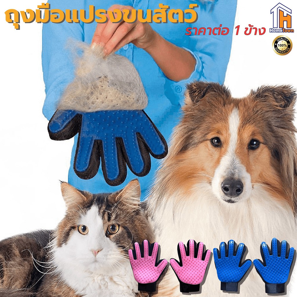 ภาพหน้าปกสินค้าถุงมือกำจัดขนสัตว์ ถุงมือรูดขนสัตว์ ถุงมือแปรงขนสัตว์ ถุงมือแปรงขนแมว ถุงมือแปรงขนสุนัข hometownsellercenter