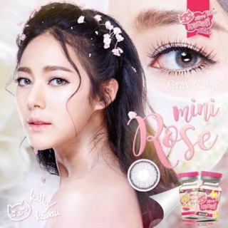 Rose gray(มินิโรส)เทา